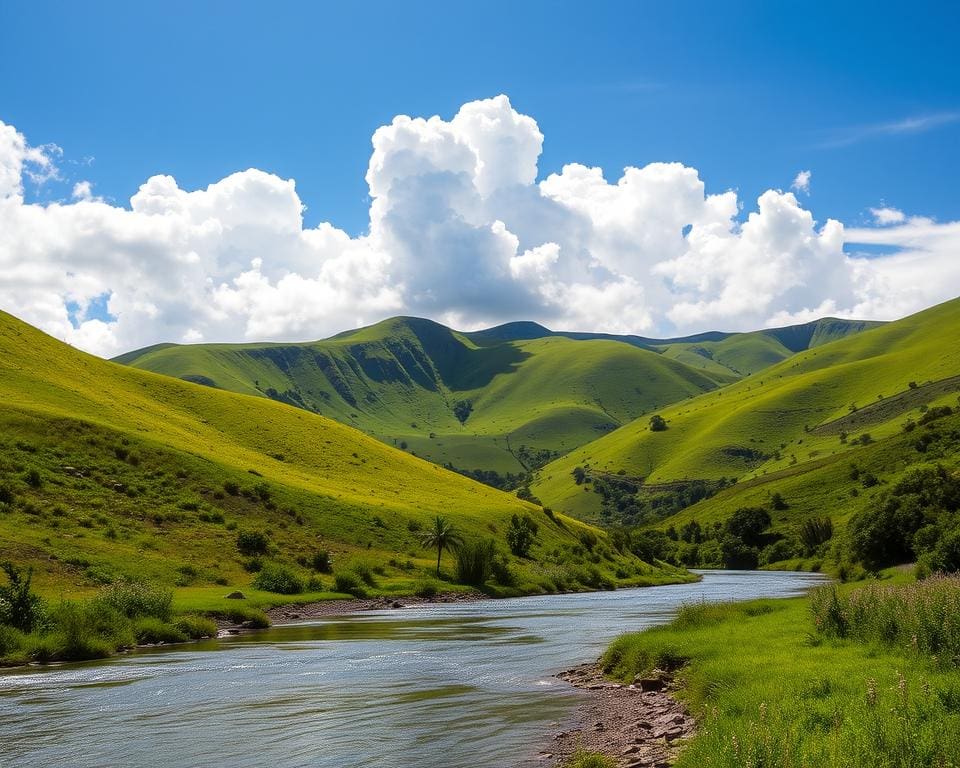 natuur in Tegucigalpa